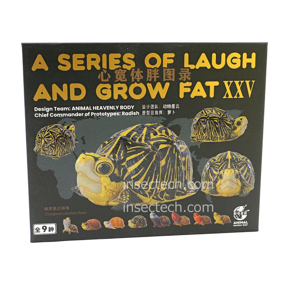 新！【動物の惑星】フロリダハコガメ フィギュア : インセクテック動物