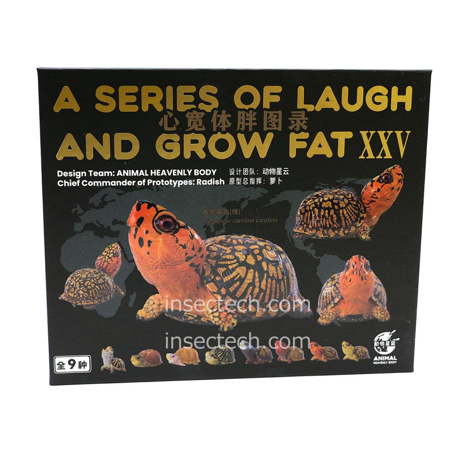 新！【動物の惑星】トウブハコガメ（オレンジ）フィギュア