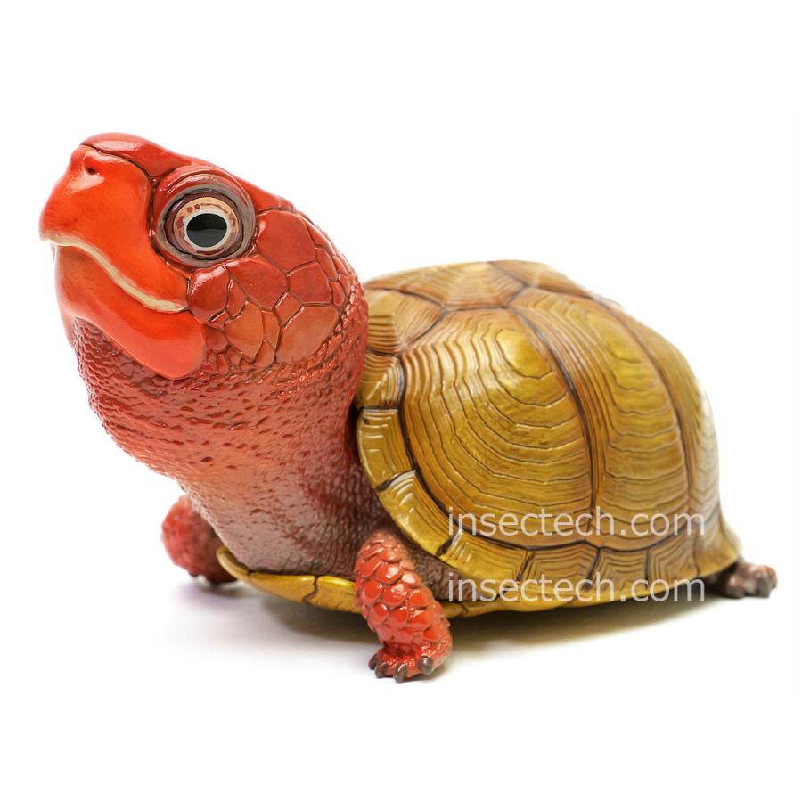 新！【動物の惑星】ミツユビハコガメ フィギュア : インセクテック動物