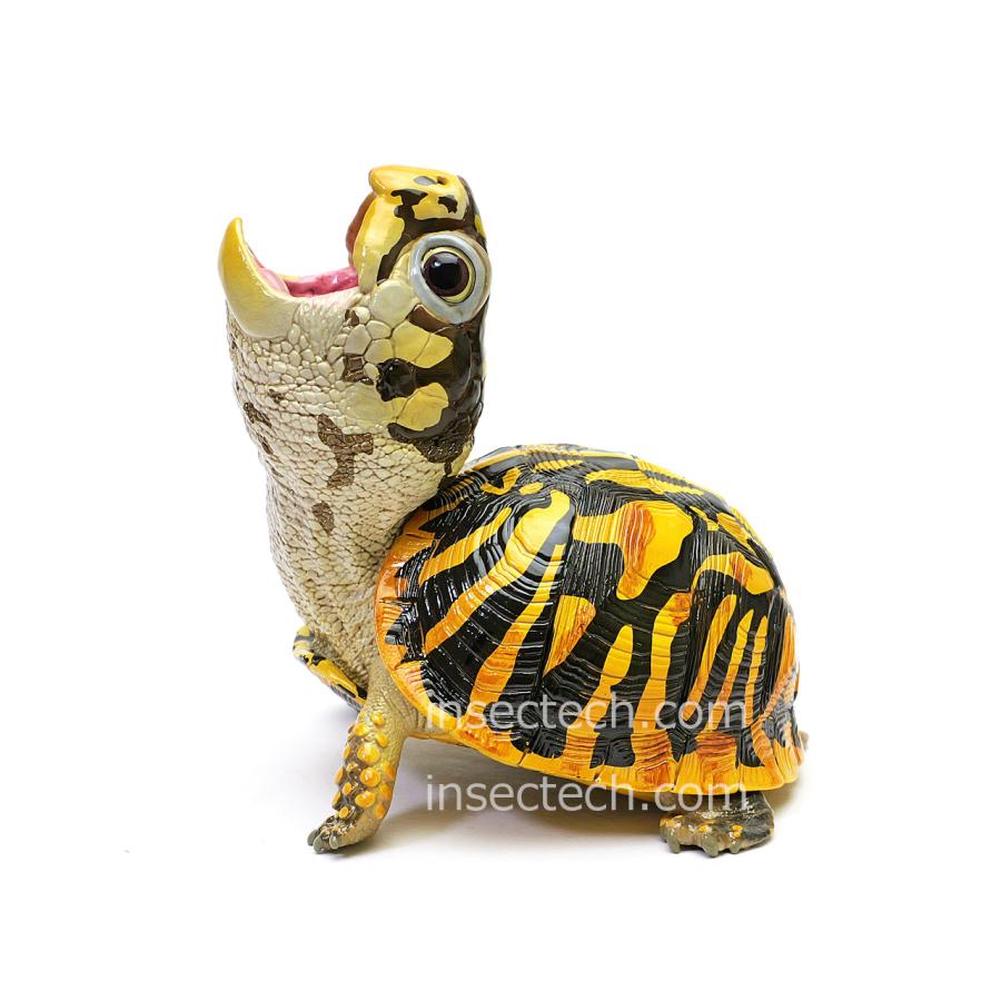 新！【動物の惑星】キタニシキハコガメ フィギュア : インセクテック