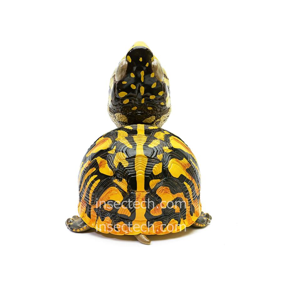 新！【動物の惑星】キタニシキハコガメ フィギュア : インセクテック