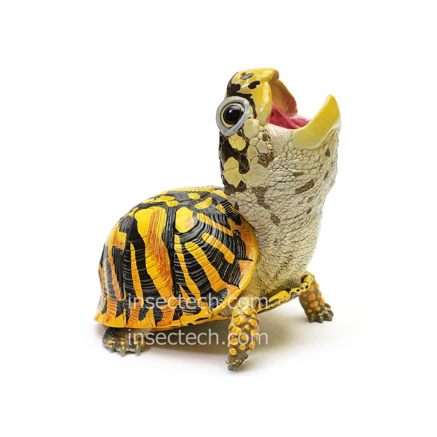 新！【動物の惑星】キタニシキハコガメ フィギュア : インセクテック
