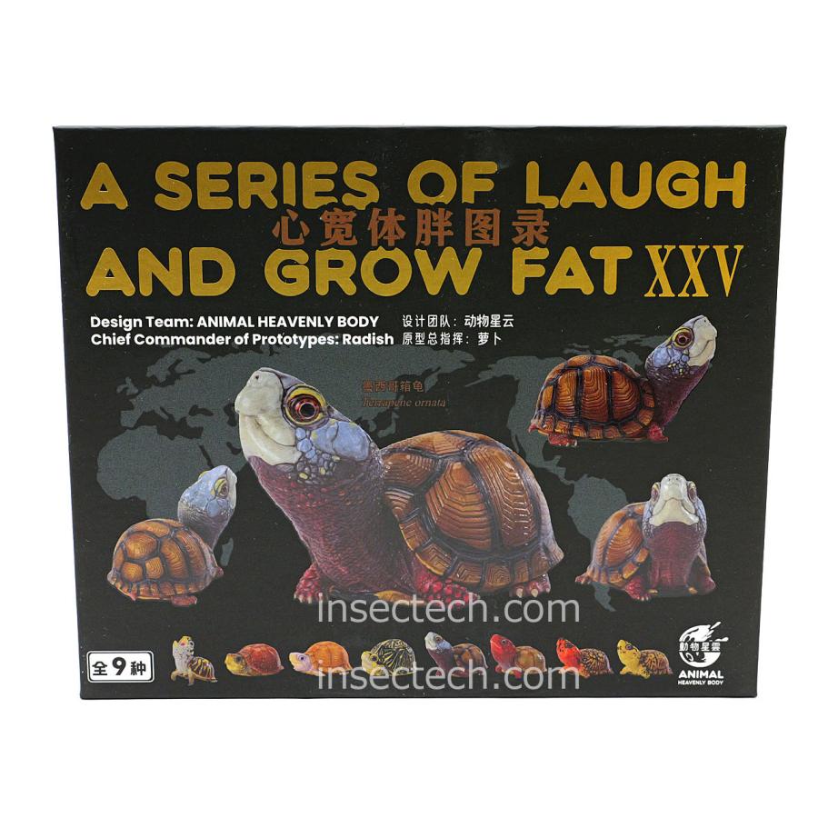 新！【動物の惑星】メキシコハコガメ フィギュア : インセクテック動物
