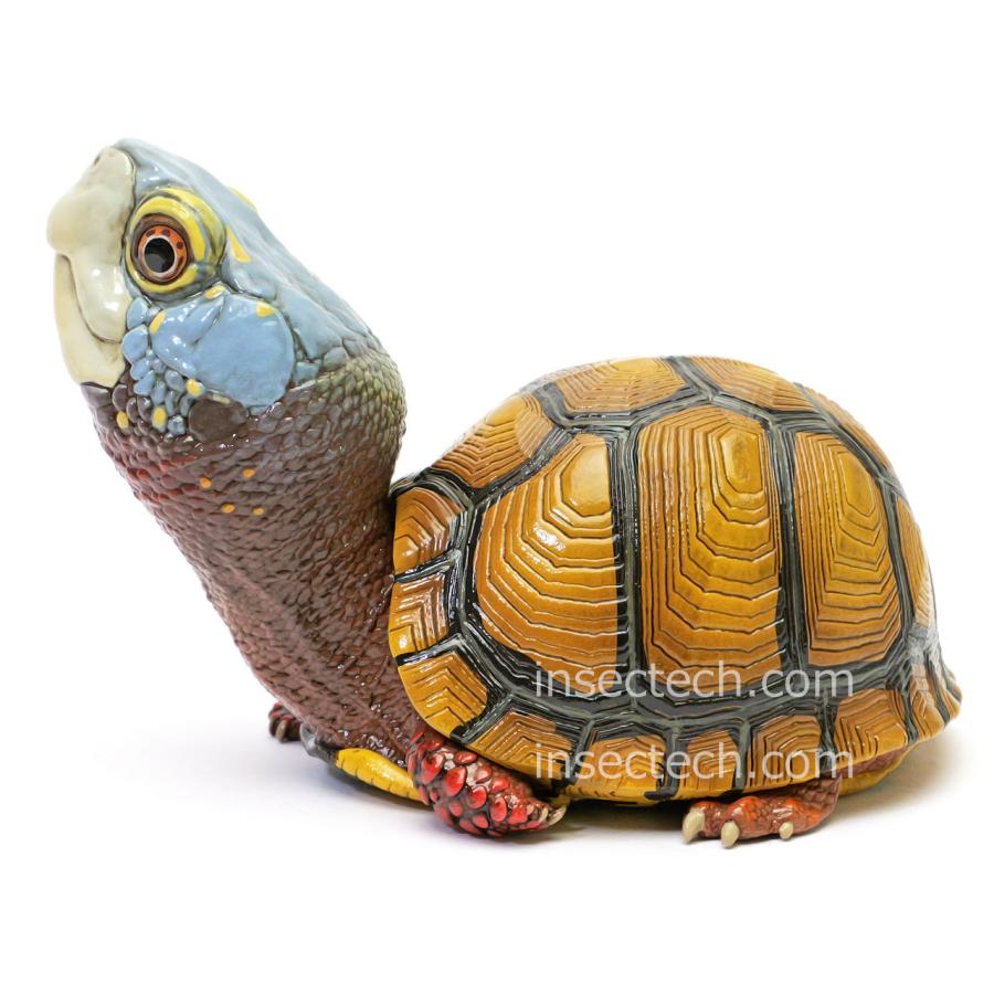 新！【動物の惑星】メキシコハコガメ フィギュア : インセクテック動物