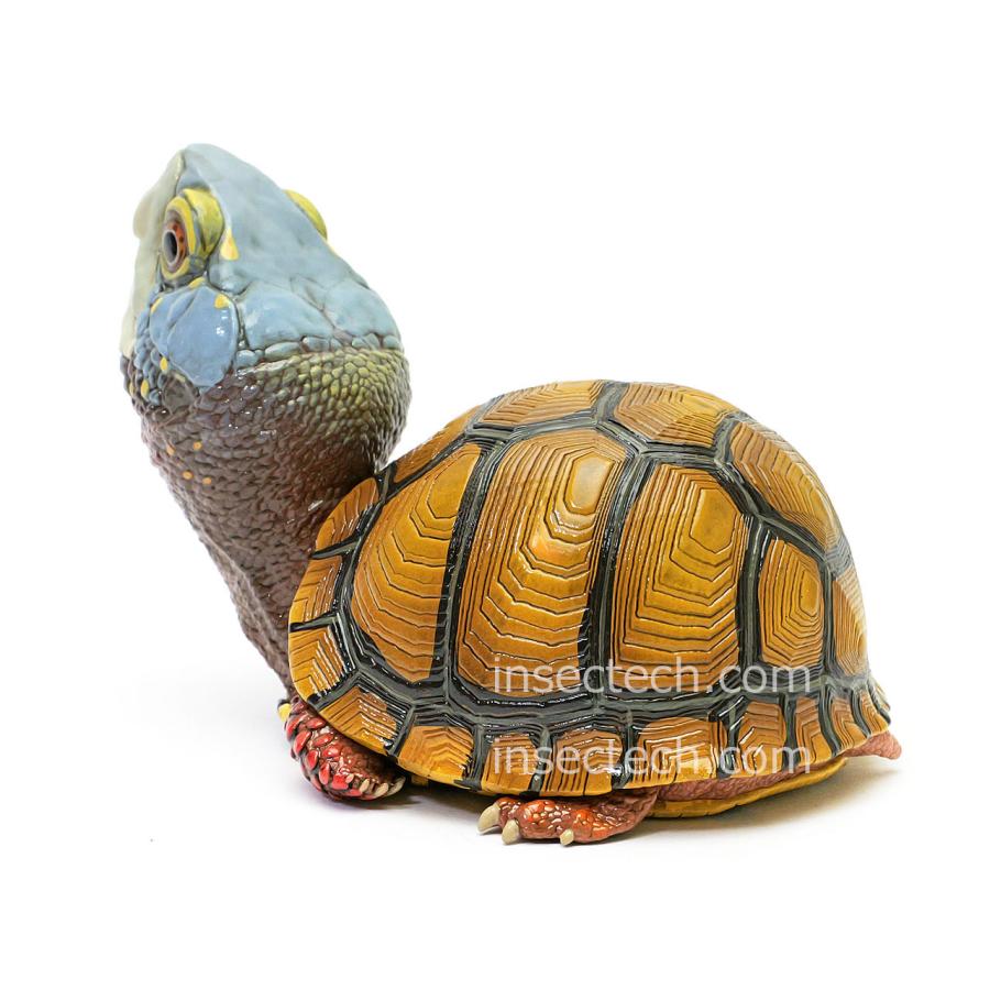 新！【動物の惑星】メキシコハコガメ フィギュア : インセクテック動物