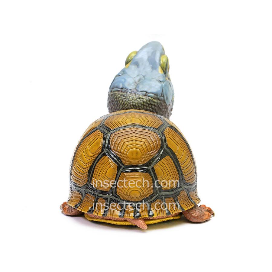 【動物の惑星】レア★メキシコハコガメ★188体限定!フィギュア 動物の惑星】レア☆メキシコハコガメ☆188体限定!フィギュア Amazon