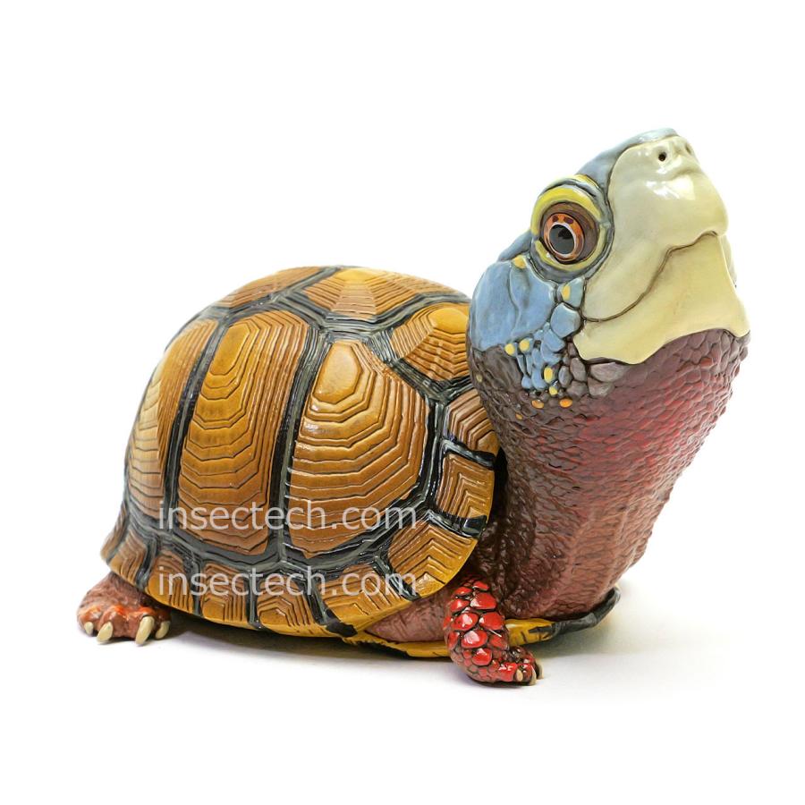 新！【動物の惑星】メキシコハコガメ フィギュア : インセクテック動物
