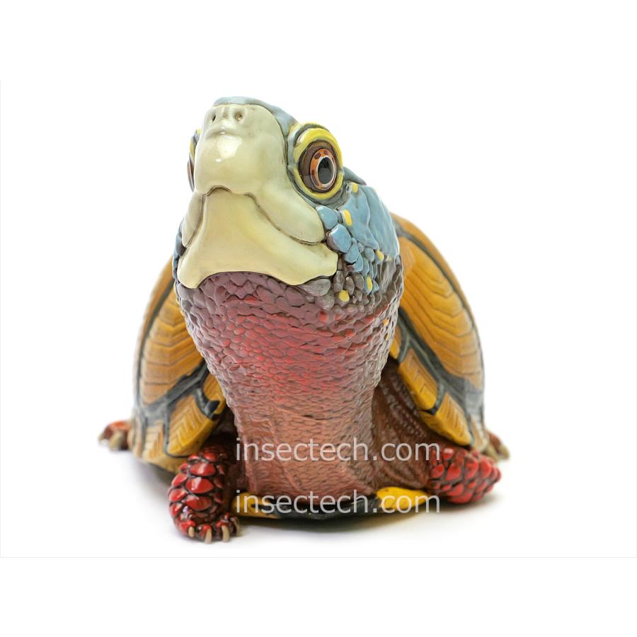 新！【動物の惑星】メキシコハコガメ フィギュア : インセクテック動物