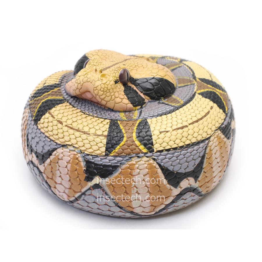 【動物の惑星】スーパーレア★ヤドク+ガメ+ヘビ★廃盤品&限定品!!フィギュア Amazon | BACALYSO | 動物惑星 五周年 限定版 カメ 亀 ガチャガチャ