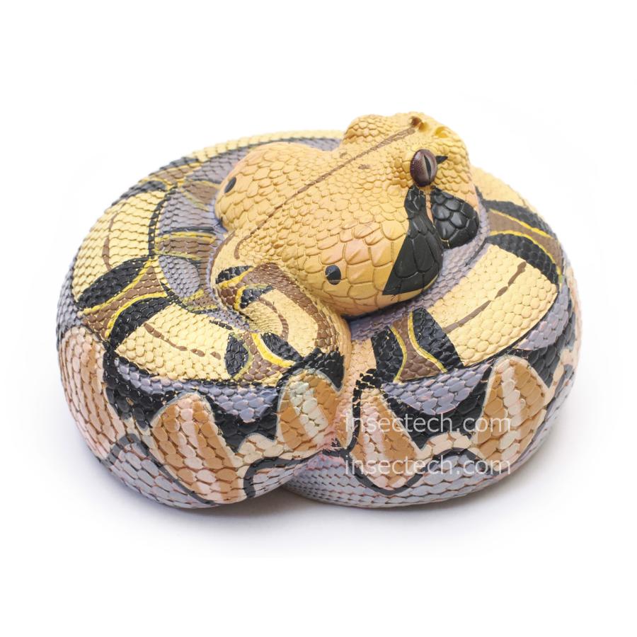 動物の惑星】ガボンアダー フィギュア : インセクテック動物の惑星