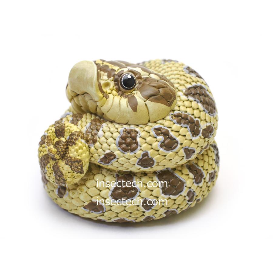 動物の惑星】セイブシシバナヘビ（ノーマル）フィギュア