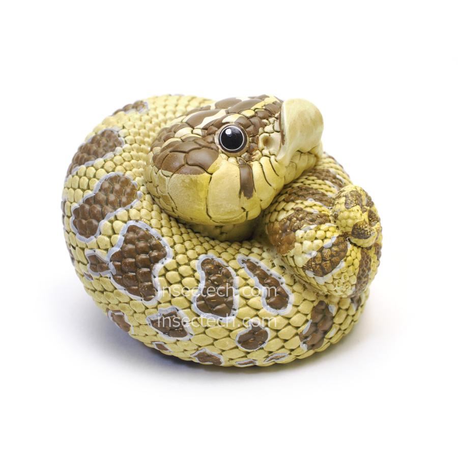 動物の惑星】セイブシシバナヘビ（ノーマル）フィギュア