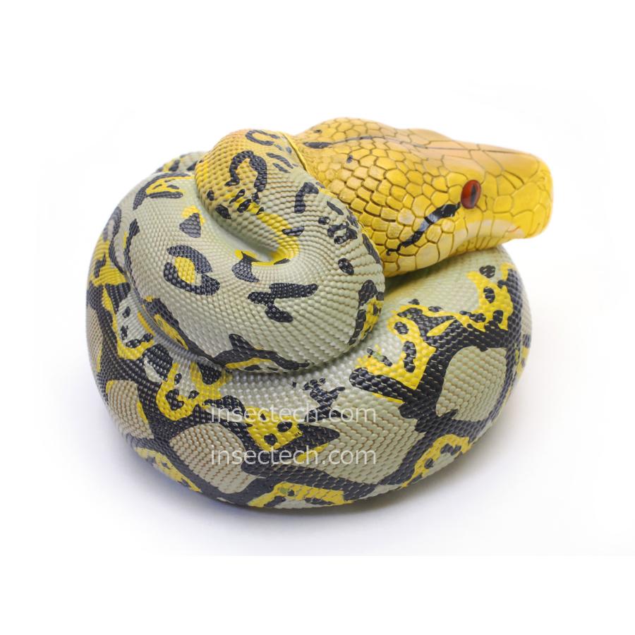 動物の惑星】アミメニシキヘビ フィギュア : インセクテック動物の惑星