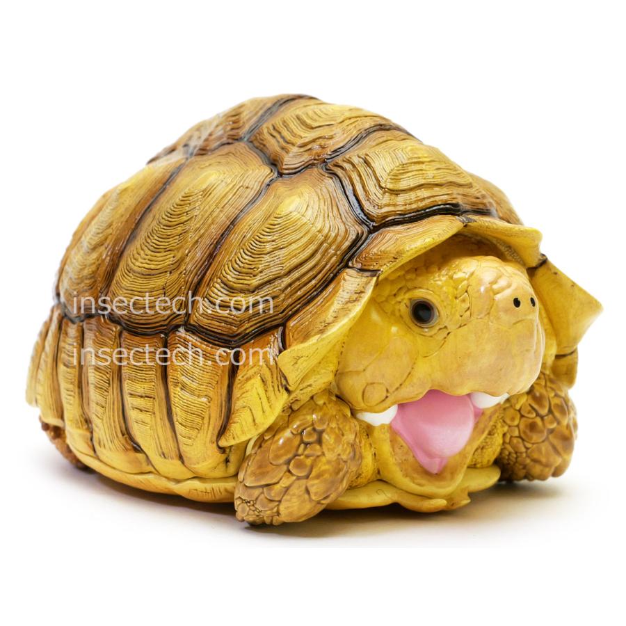 動物の惑星】チュウベイカミツキガメ フィギュア : インセクテック動物