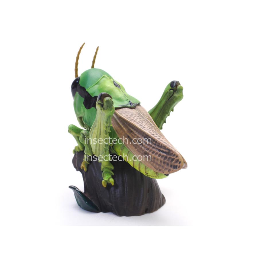 動物の惑星】バッタ フィギュア※注意事項を読んで了承しました