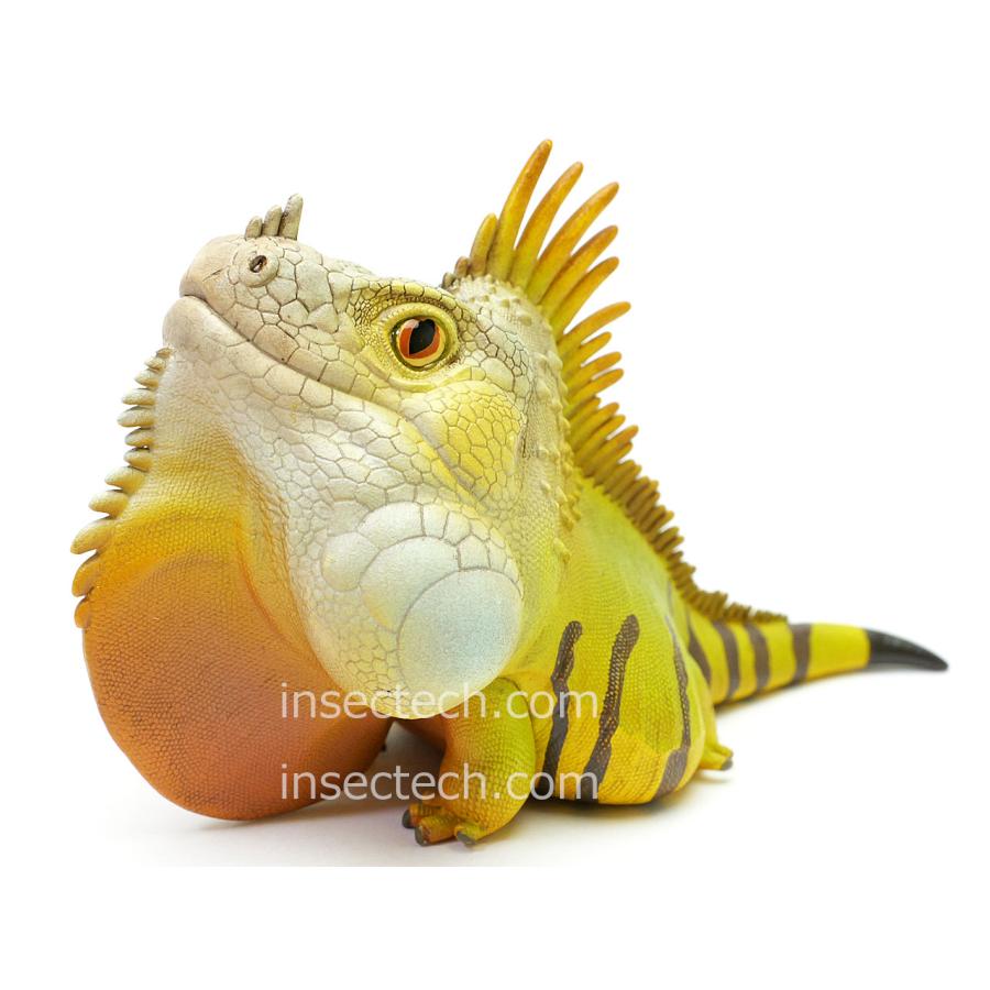 動物の惑星】グリーンイグアナ（ノーマル）フィギュア