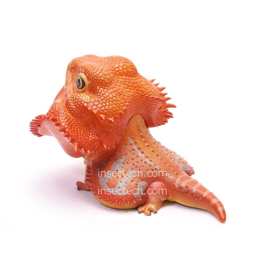 動物の惑星】フトアゴヒゲトカゲ(レッド)フィギュア 動物の惑星】フトアゴヒゲトカゲ(レッド)フィギュア