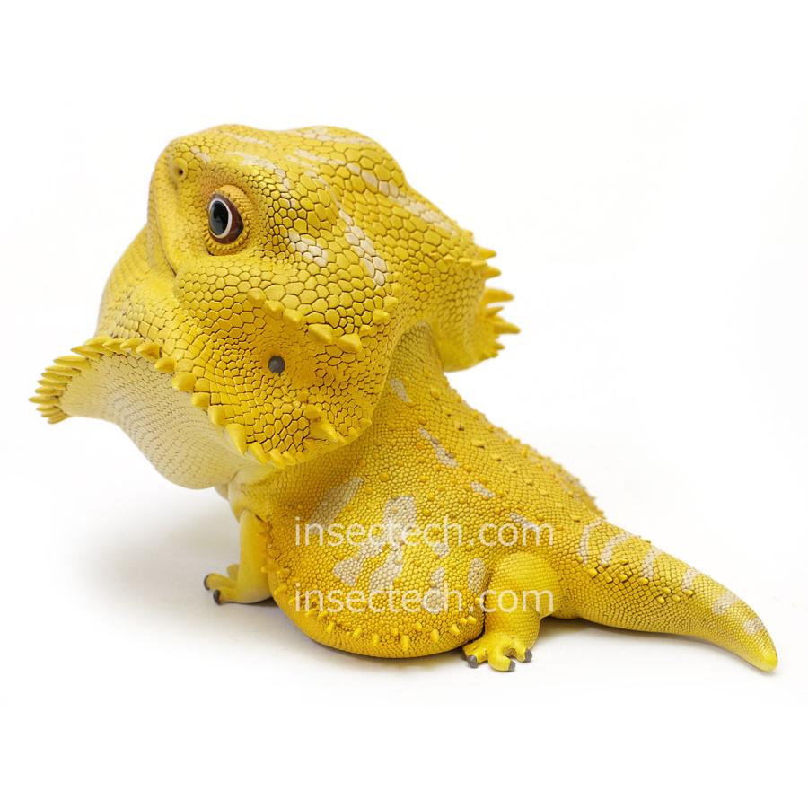 動物の惑星】フトアゴヒゲトカゲ（イエロー）フィギュア