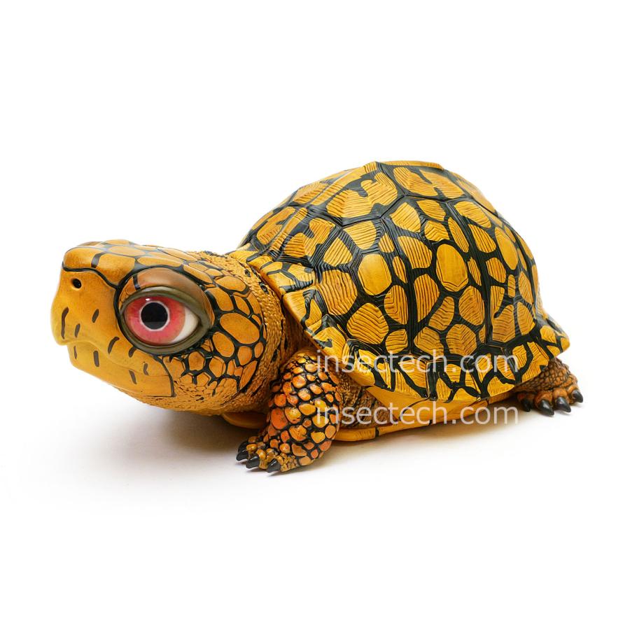 新！【動物の惑星LET'S爬体!】トウブハコガメ フィギュア