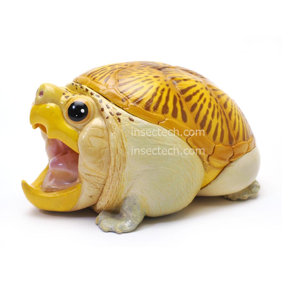 【動物の惑星】★ハラカケガメ開口（シークレット）★激レア! フィギュア 動物の惑星】「シークレット」ハラガケガメ（開口） フィギュア