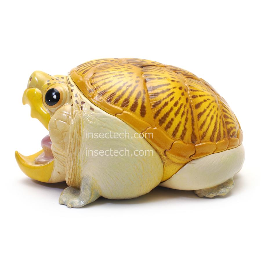 動物の惑星　レア　ハラガケガメ(開口) 動物の惑星】「シークレット」ハラガケガメ（開口） フィギュア