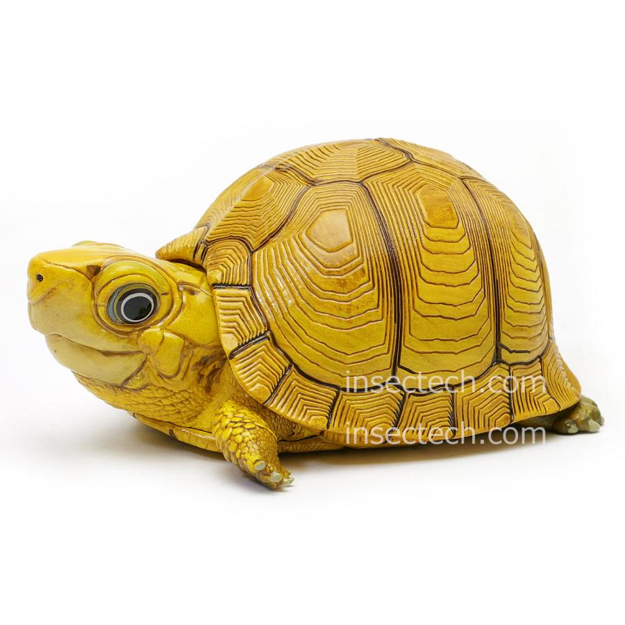 【動物の惑星】最速★ユカタンハコガメ★シークレット! フィギュア 新！【動物の惑星】「シークレット」ユカタンハコガメ♀（イエロー
