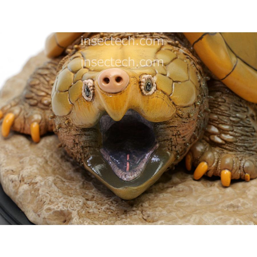 【動物の惑星】★激レア★第1弾亀廃盤品ワニガメ+カミツキガメ!! フィギュア 動物の惑星】☆激レア☆第1弾亀廃盤品ワニガメ+カミツキガメ