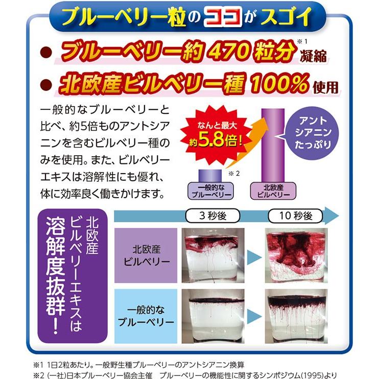 目の疲労対策サプリ（ブルーベリー粒） 6個セット / 機能性表示食品 / 6か月分 / 送料無料 / ポイント3倍 |  | 03