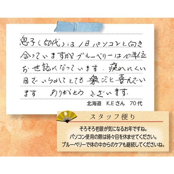 目の疲労対策サプリ（ブルーベリー粒） 6個セット / 機能性表示食品 / 6か月分 / 送料無料 / ポイント3倍 |  | 04