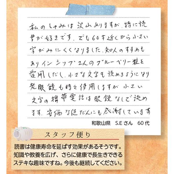 目の疲労対策サプリ（ブルーベリー粒） 6個セット / 機能性表示食品 / 6か月分 / 送料無料 / ポイント3倍 |  | 05