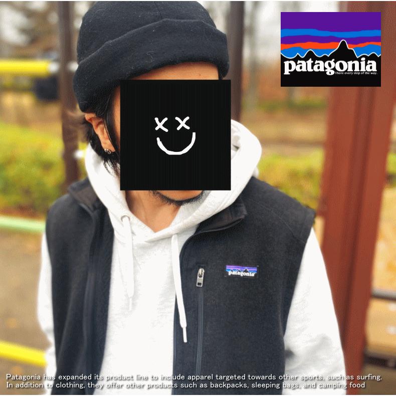 patagonia（パタゴニア） Better Sweater Vest ニット セーター ベスト