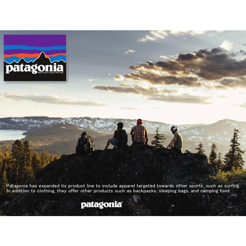 patagonia PATAGONIA パタゴニア Classic Synchilla Vest