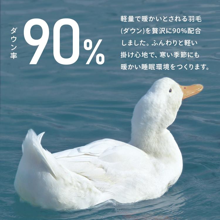 IRIS OHYAMA（アイリスオーヤマ） 羽毛布団 掛け布団 シングル ロング