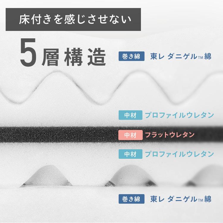 IRIS OHYAMA（アイリスオーヤマ） 敷き布団 シングル 防ダニ 抗菌 防臭