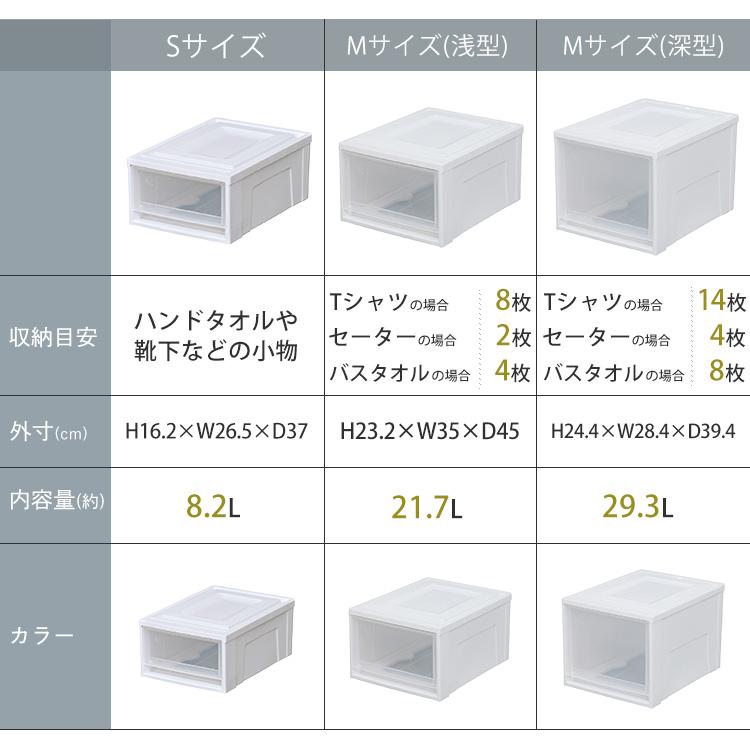 IRIS OHYAMA（アイリスオーヤマ） 収納ボックス Lサイズ 収納ケース