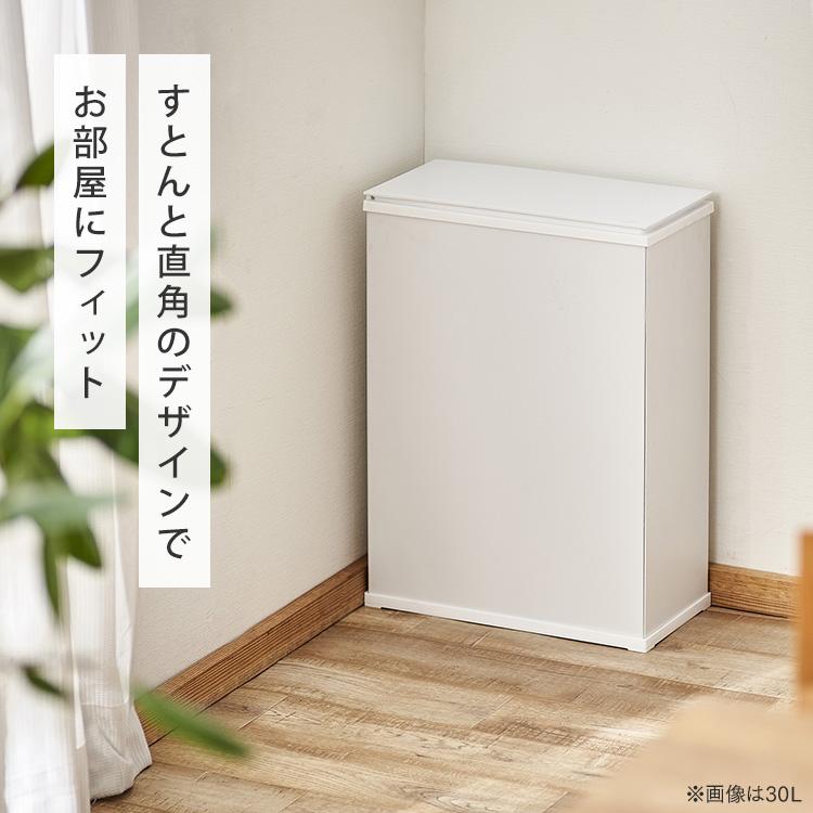 ゴミ箱 ごみ箱 おしゃれ 北欧 45L 45リットル キッチン 分別 屋外 北欧 スリム 蓋付き STPL-45 アイリスオーヤマ 一人暮らし 新生活 [H]｜inskagu-y｜04