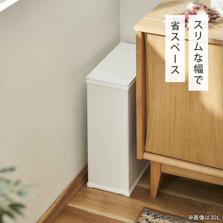 アイリスオオヤマゴミ箱 IRIS OHYAMA（アイリスオーヤマ） ゴミ箱 ごみ箱 おしゃれ 北欧 45L 45