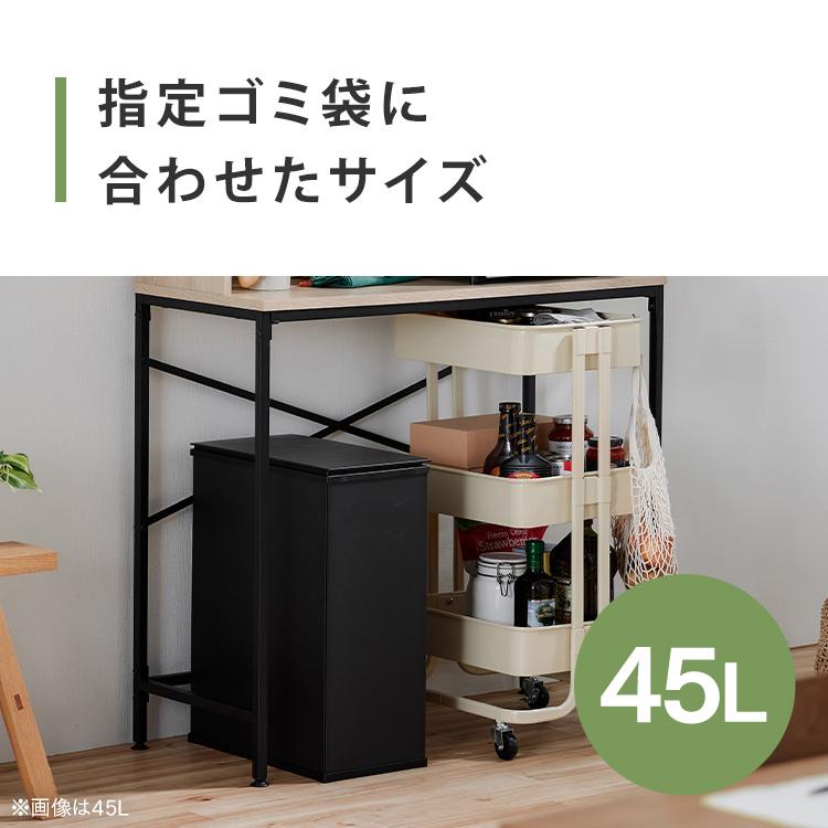 IRIS OHYAMA（アイリスオーヤマ） ゴミ箱 ごみ箱 おしゃれ 北欧 45L 45