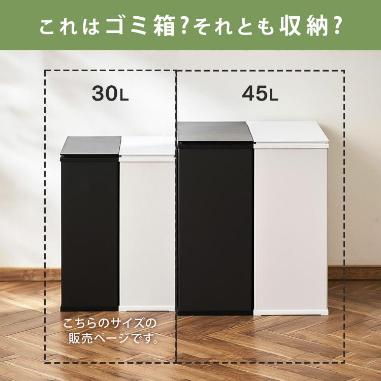 アイリスオーヤマ　ゴミ箱　完成品 IRIS OHYAMA（アイリスオーヤマ） ゴミ箱 おしゃれ 北欧 30L 30