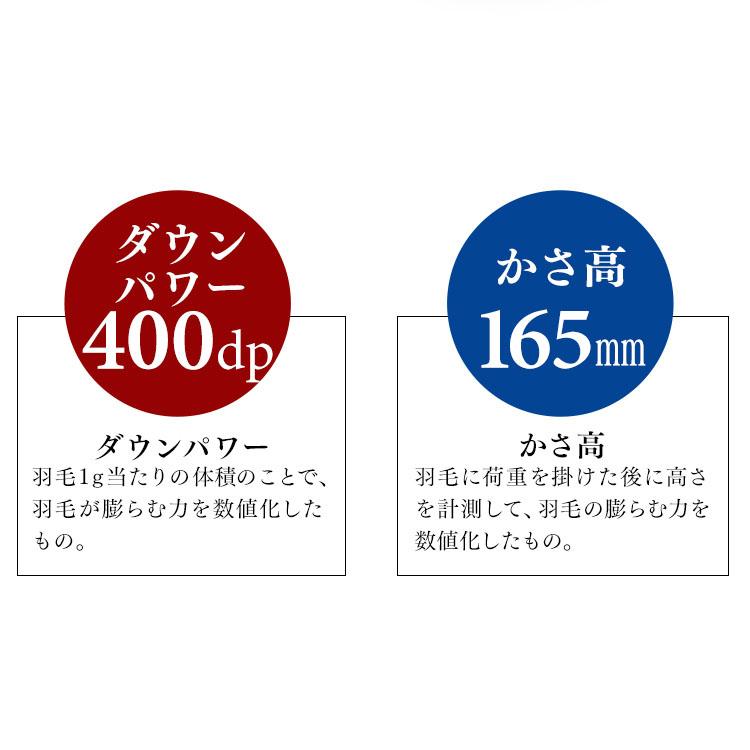 羽毛布団 掛け布団 ダブル 羽毛 布団 冬 軽い ホワイトダック フランスWDD93％ 1.4kg PAA21RP1424 (F)｜inskagu-y｜07