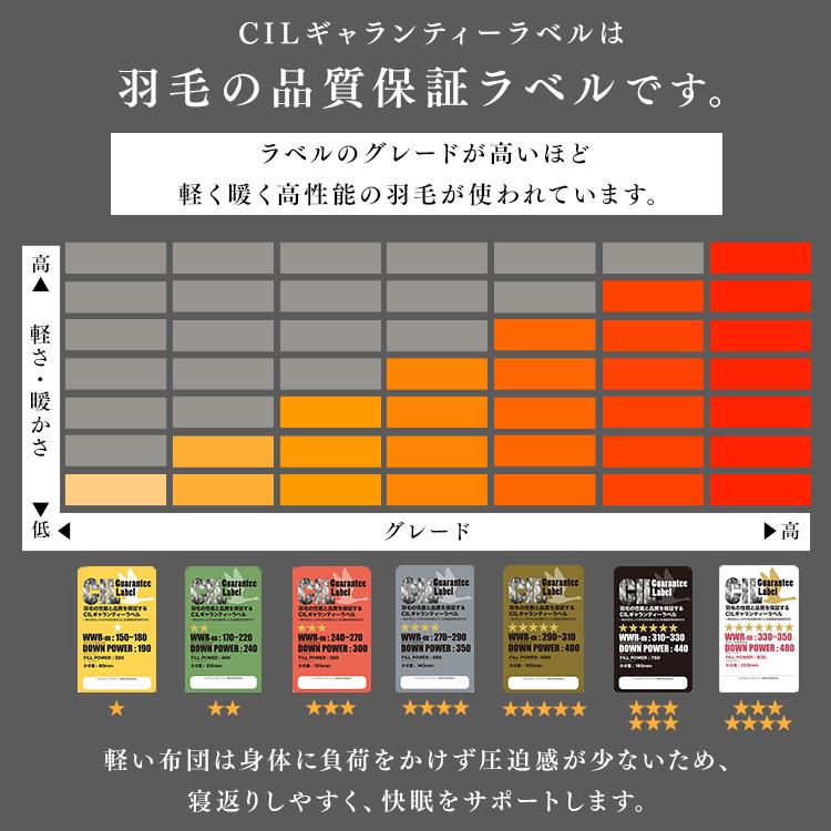 羽毛布団 掛け布団 シングル 羽毛 布団 冬 軽い ロシアGGD93％ 1.0kg PAA21RP1514｜inskagu-y｜09