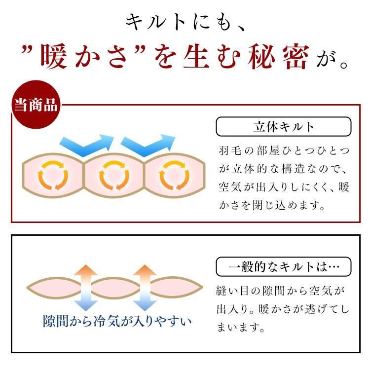 羽毛布団 掛け布団 シングル 羽毛 布団 冬 軽い ロシアGGD93％ 1.0kg PAA21RP1514｜inskagu-y｜10