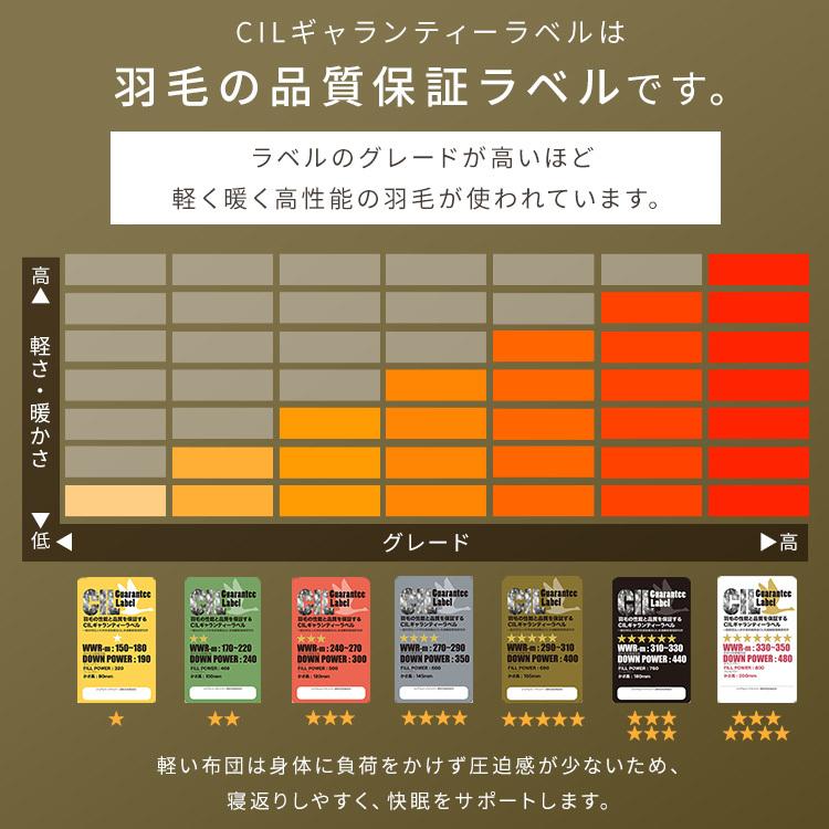 羽毛布団 掛け布団 ダブル 羽毛 布団 冬 軽い ロシアGGD93％ 1.4kg PAA21RP1524｜inskagu-y｜10