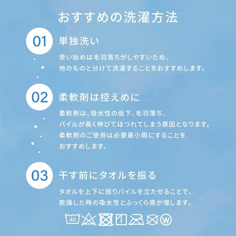 タオル セット 2枚セット タオルセット フェイスタオル デイリーフェイスタオル2枚セット FT-D2 アイリスオーヤマ｜inskagu-y｜14