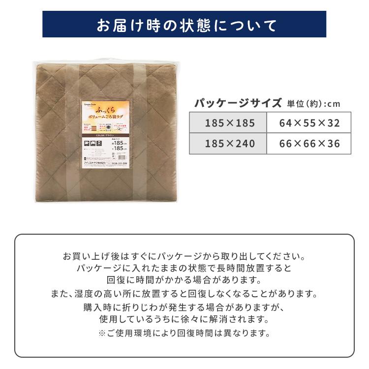 IRIS OHYAMA ラグ ラグマット 洗える 冬用 北欧 3畳 厚手 長方形