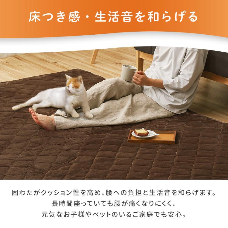 IRIS OHYAMA ラグ ラグマット 洗える 冬用 北欧 3畳 厚手 長方形