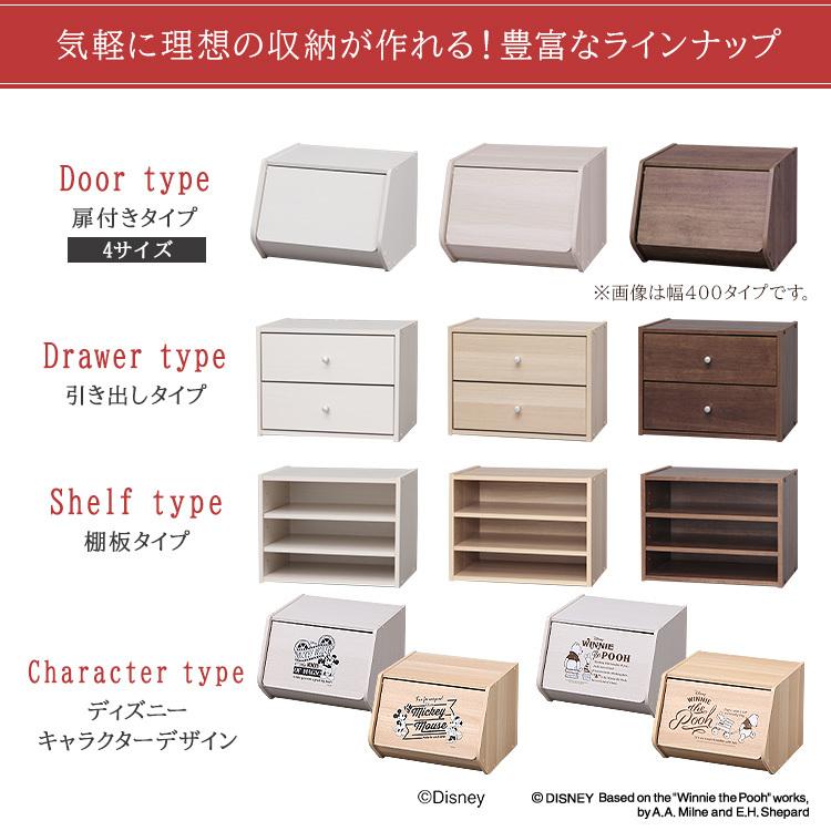 IRIS OHYAMA（アイリスオーヤマ） カラーボックス 2個セット 収納 扉