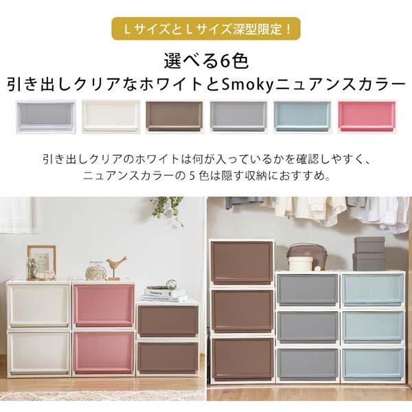 IRIS OHYAMA（アイリスオーヤマ） 収納ボックス 2個セット Lサイズ