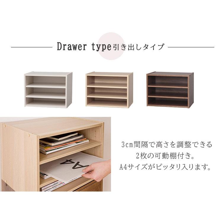 IRIS OHYAMA（アイリスオーヤマ） カラーボックス 2個セット 収納 扉