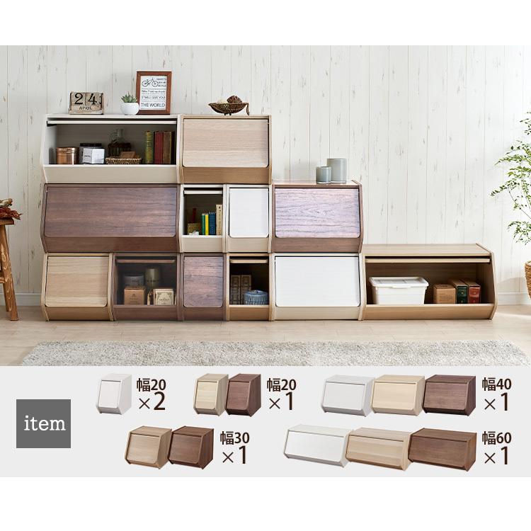 IRIS OHYAMA（アイリスオーヤマ） カラーボックス 2個セット 収納 扉